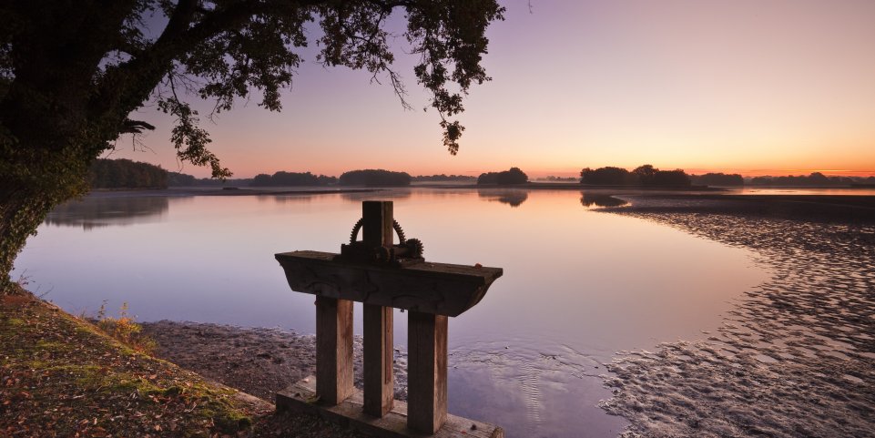 Un étang dans la Brenne