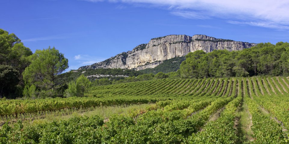 Pic Saint Loup et ses vignobles alentour