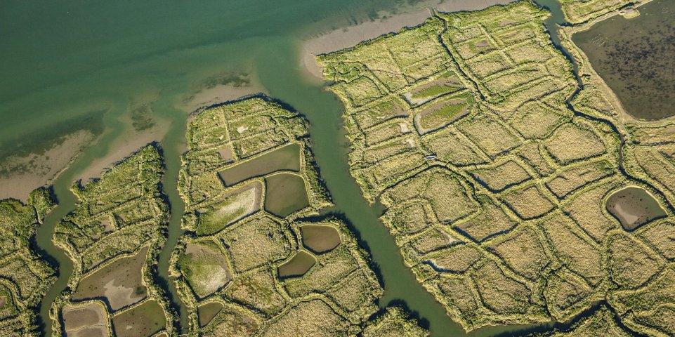 Vue aérienne du marais de Mornac-sur-Seudre