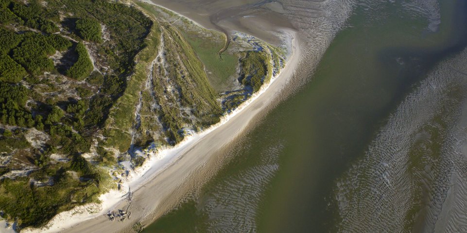 Baie d'Authie, Côte d'Opale