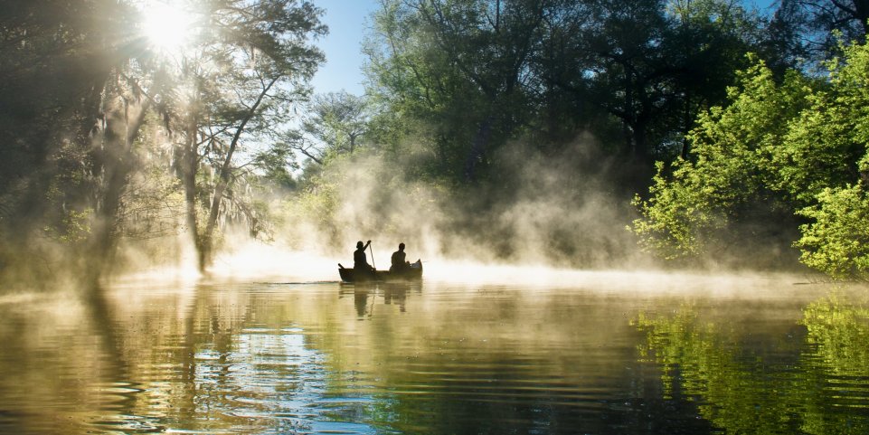 Une barque sur un marais