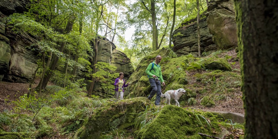 Chemin de randonnée, Mullerthal, Luxembourg