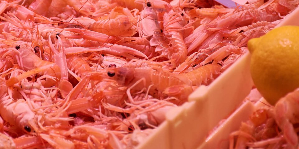Crevettes au marché
