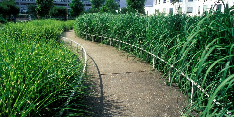 Jardin Atlantique Montparnasse
