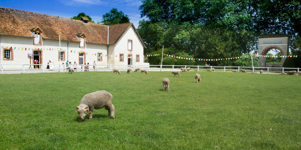Bergerie de Rambouillet
