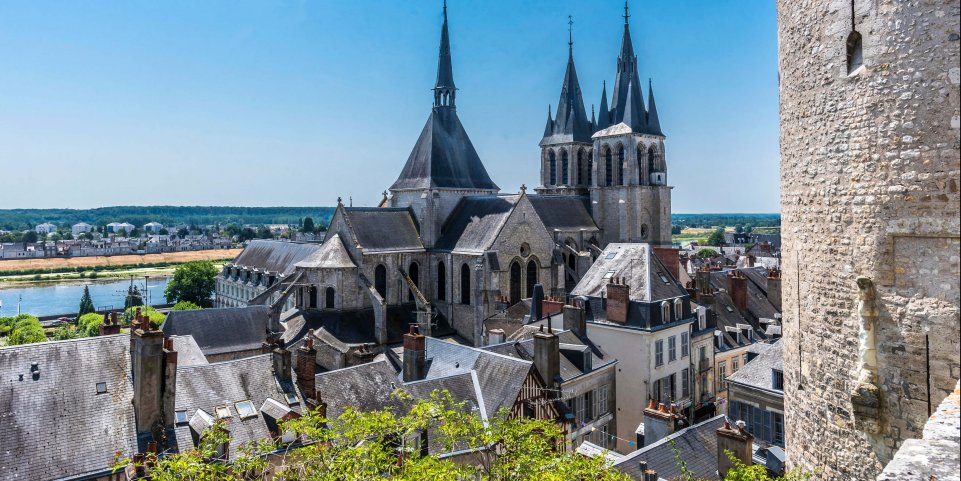 Vue de Blois depuis le château