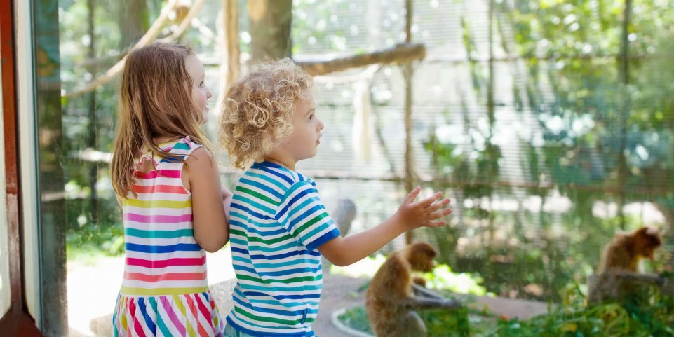 Enfants dans un zoo