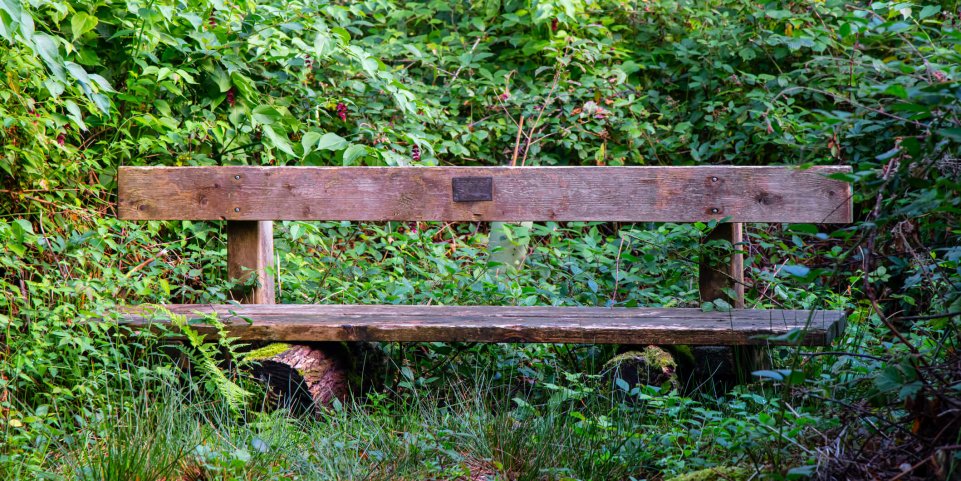 Un banc dans la nature