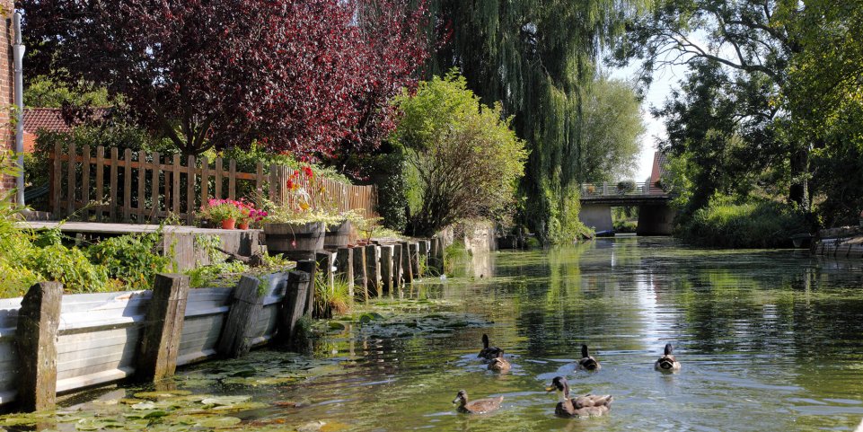 Marais de Saint-Omer