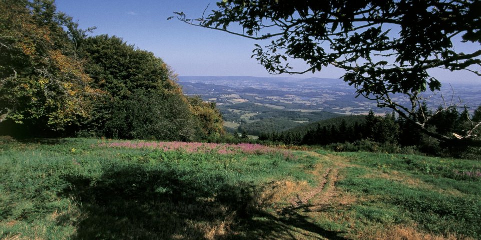 Un paysage du Morvan vu du mont Beuvray