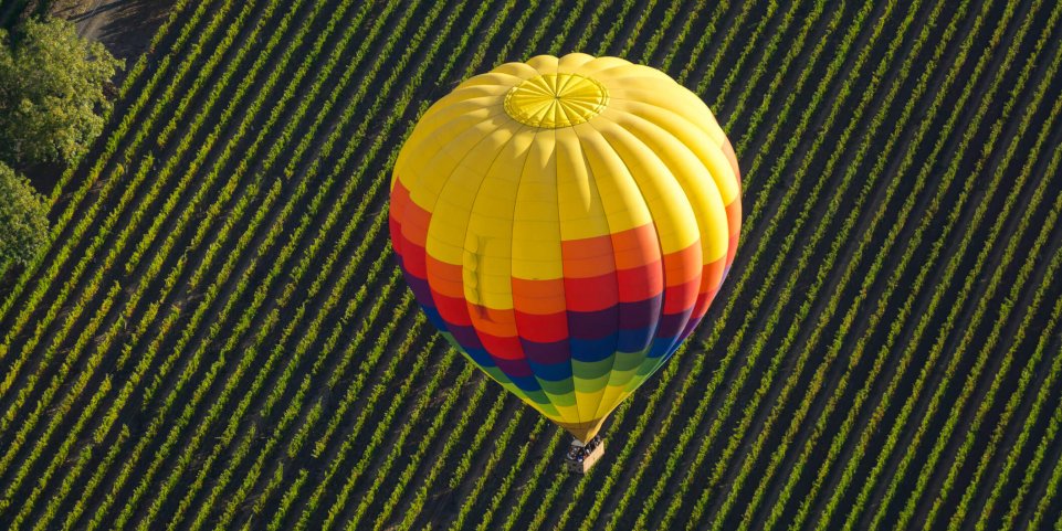 Montgolfière sur les vignes