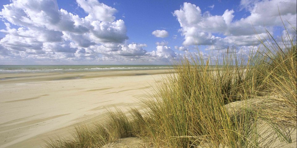 Dunes de Flandre
