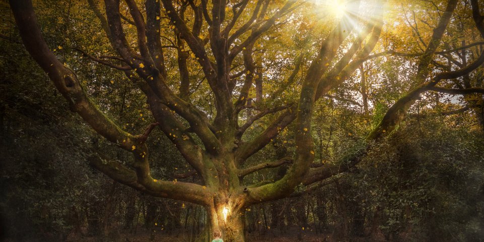 Brocéliande