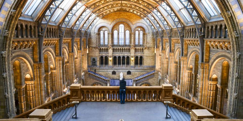 National History Museum Londres