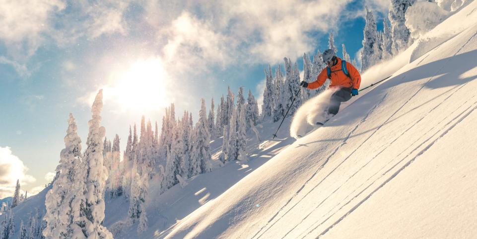 Skieur pratiquand le free ride au milieu d'un paysage de sapins