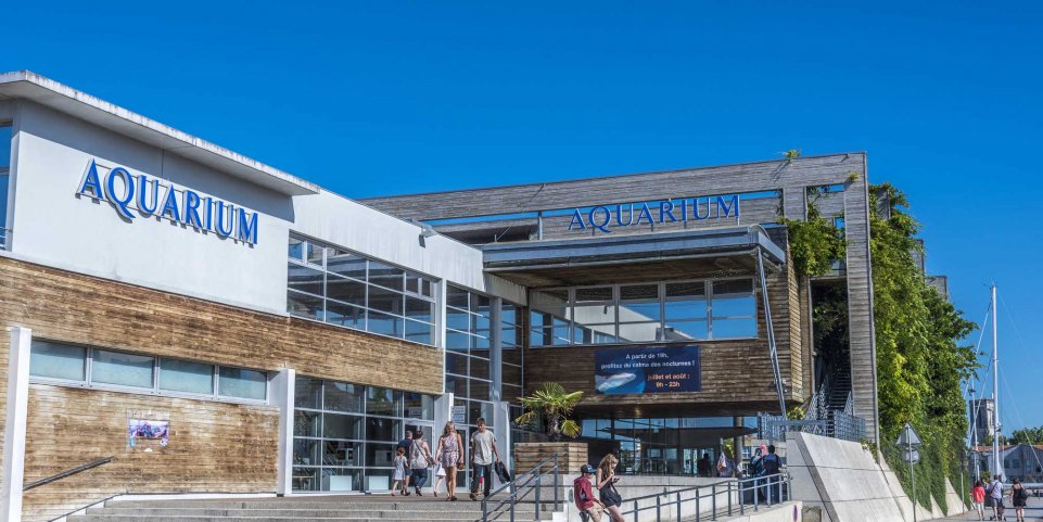 aquarium la rochelle 