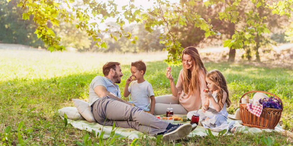 Pique-nique en famille