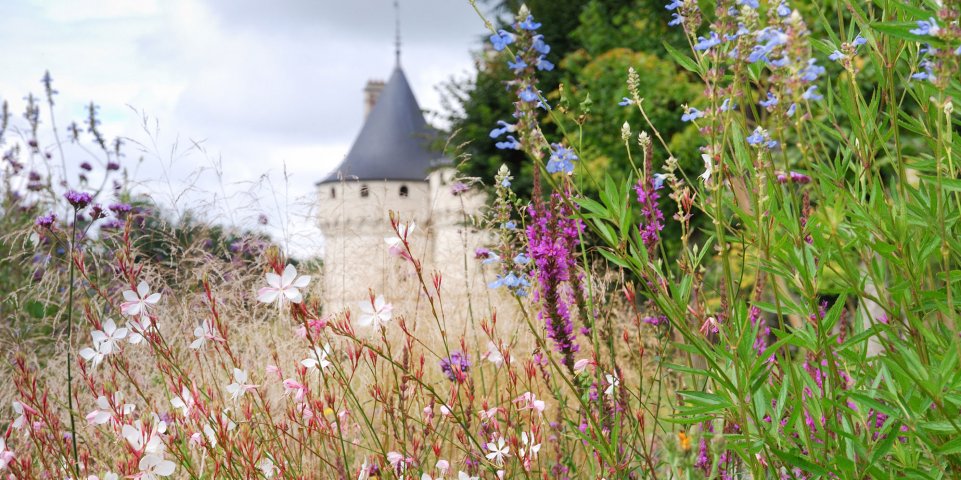 Domaine de Chaumont-sur-Loire