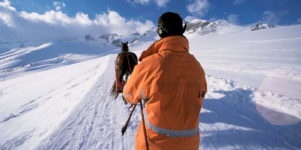 ski-joëring