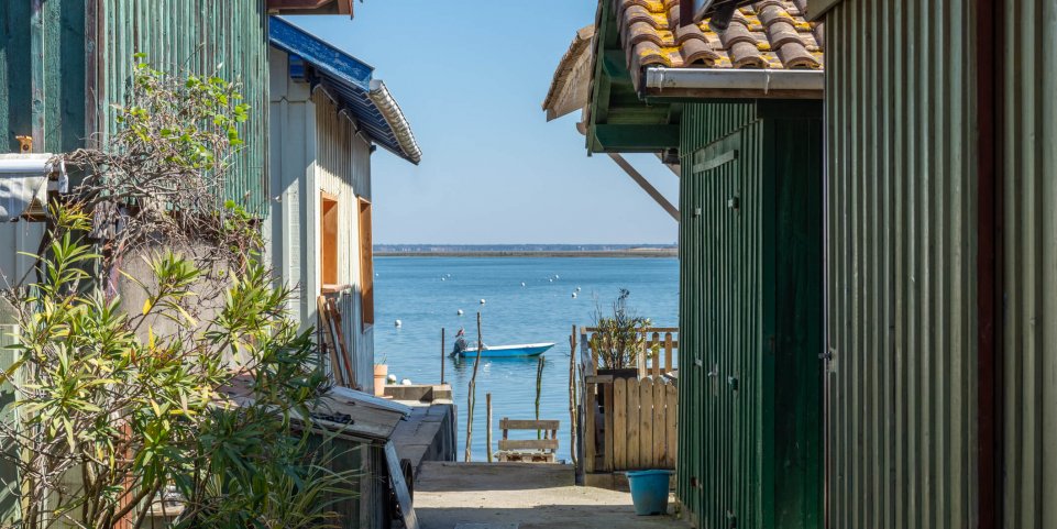 Vue sur l'île aux oiseaux, Arcachon, Gironde, France
