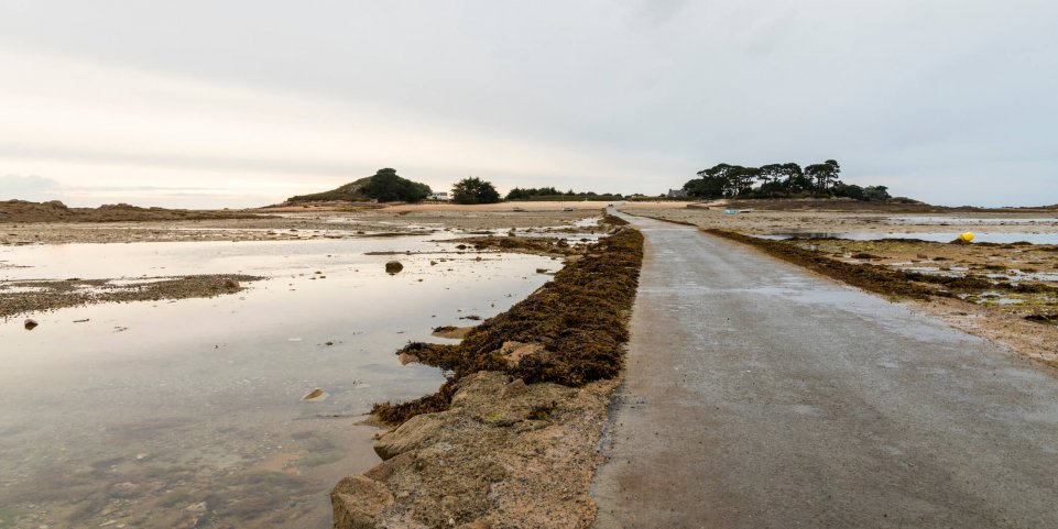 Ile de Callot, Carantec