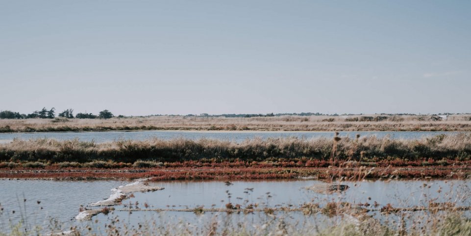 Marais salants, île de Noirmoutier