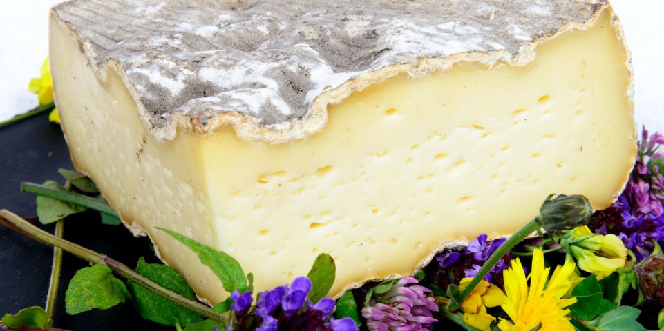 Fromage, tomme de vache
