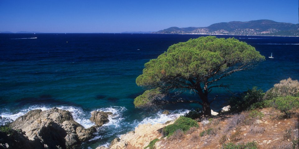 Sentier des douaniers, plage de Gigaro, La Croix-Valmer, France