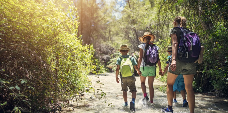 Famille en forêt