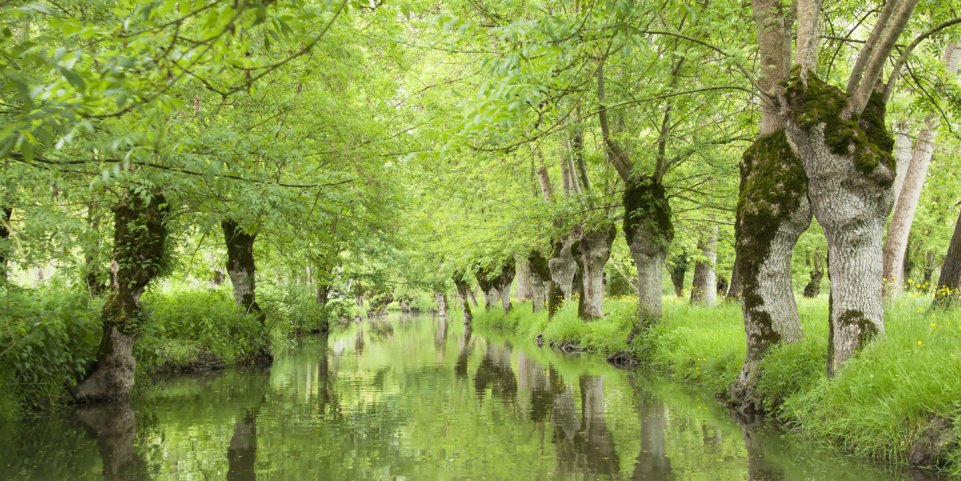 Le Marais Poitevin Venise verte 