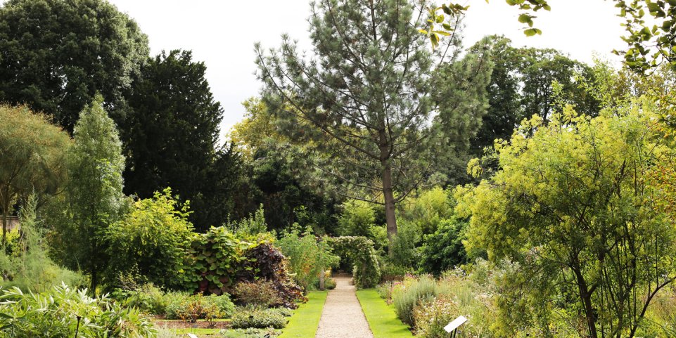 Chelsea Physic Garden - jardin botanique de Londres