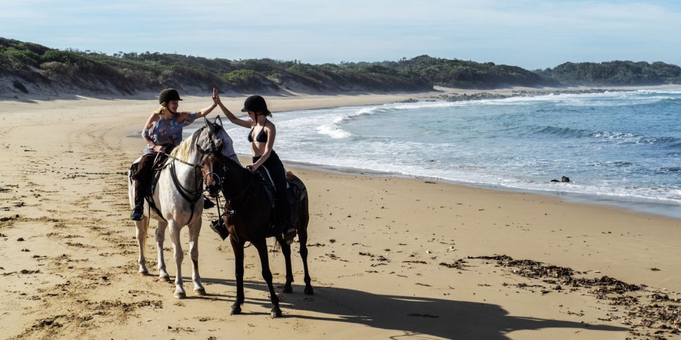 Cheval sur la plage