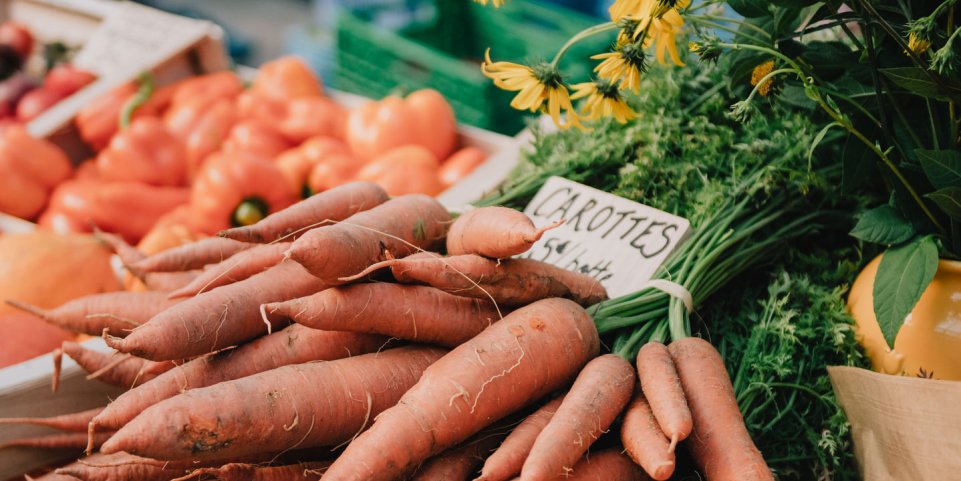 Carottes au Grand Marché des Pays de la Loire