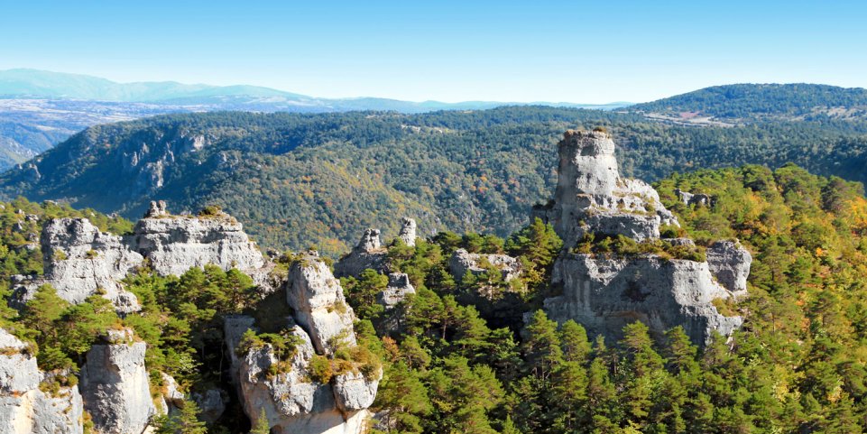 Des rochers sur une colline dans les Cévennes