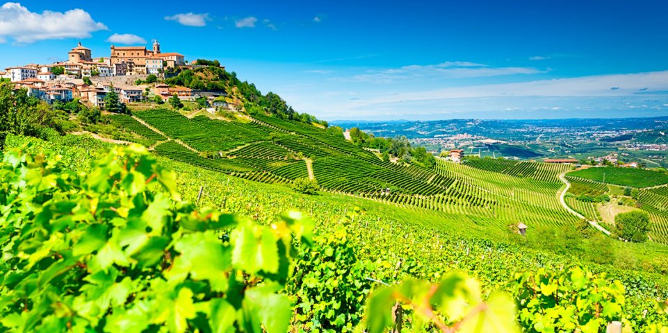 Vignobles de Barolo, Monferrat, Piemont, Italie