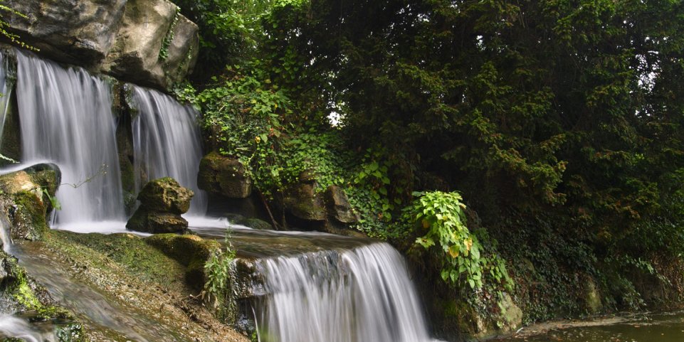 Bois de Boulogne - cascade