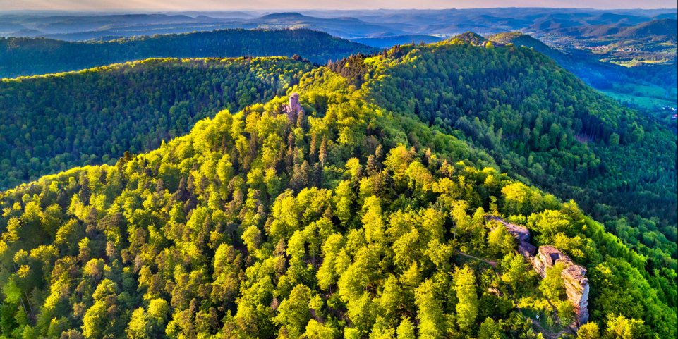 Château de Loewenstein en Alsace