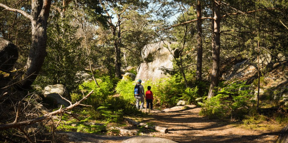Forêt de Fontainebleau - promeneurs