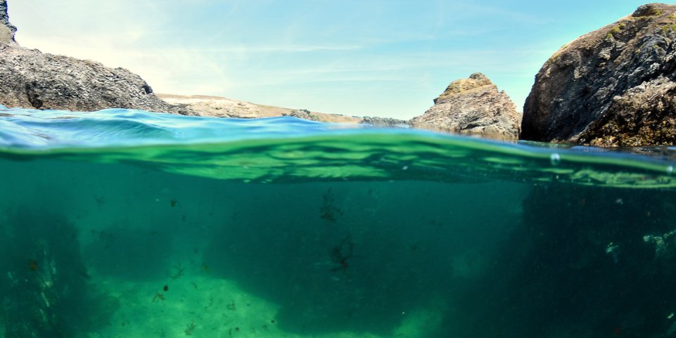 Ile de Bréhat en Bretagne