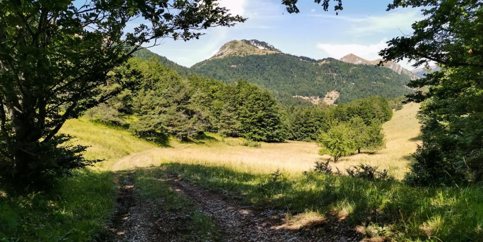 Drôme provençale