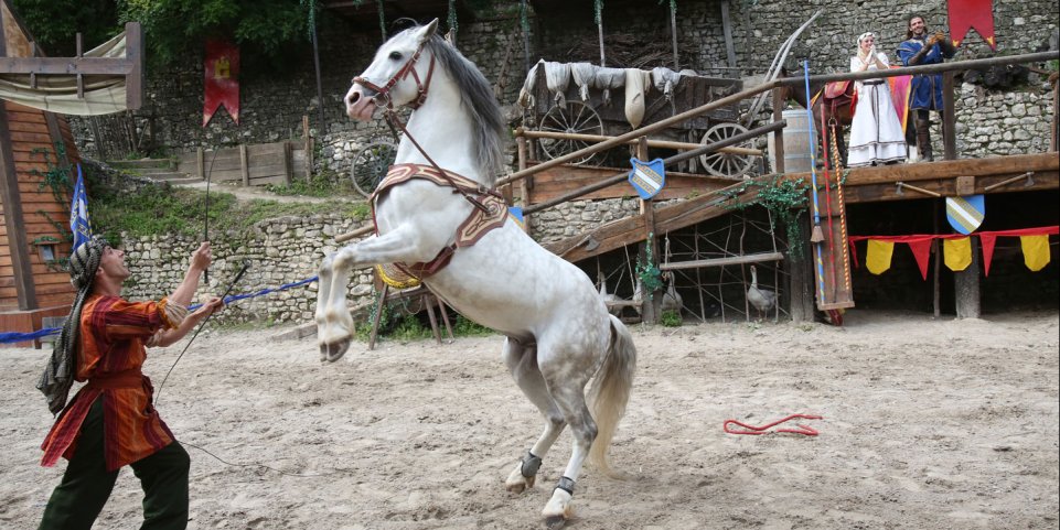 spectacle dressage equestre provins