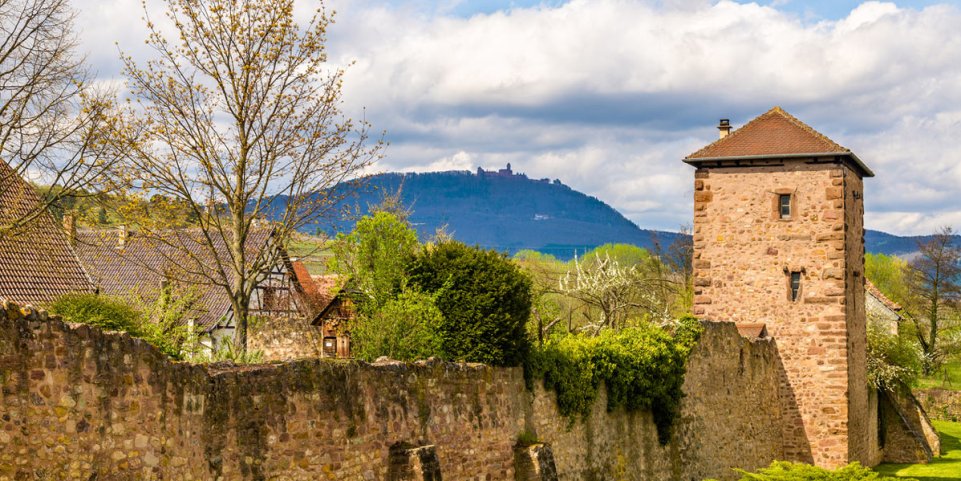 Bergheim