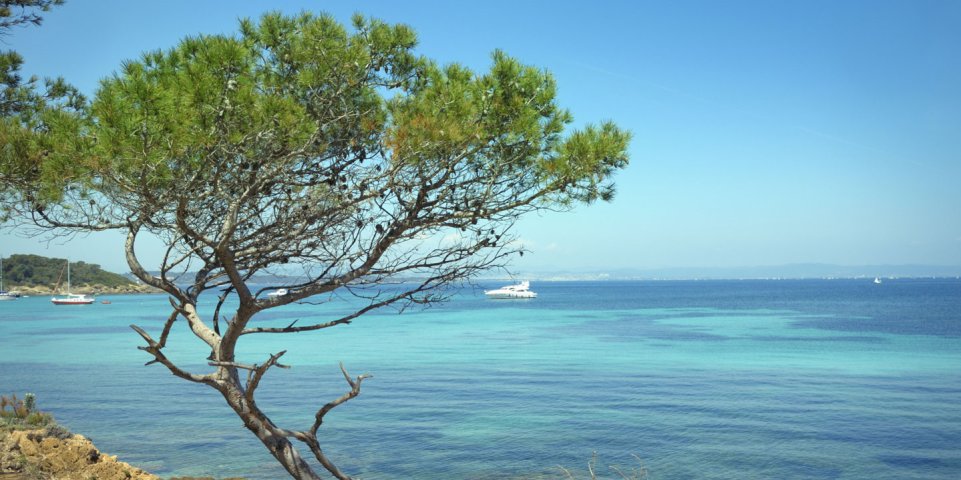 plage mer méditerranée côte d'azur ile de porquerolles