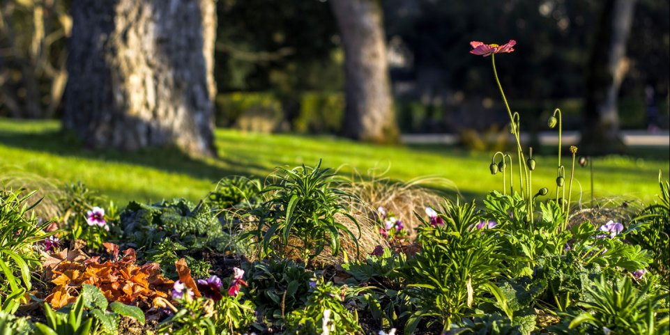Parc Blossac à Poitiers