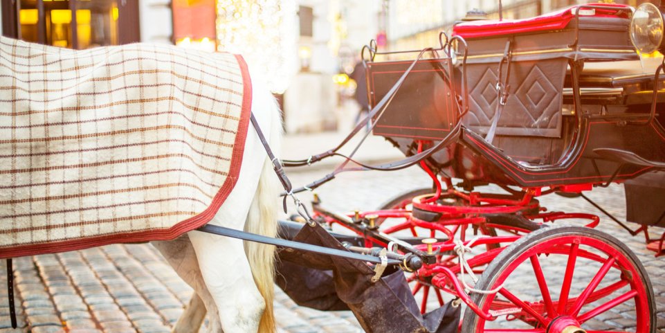 Balade en calèche à Noël