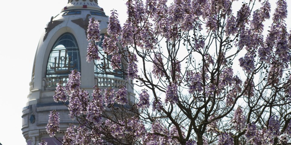 Tour du Lieu Unique à Nantes