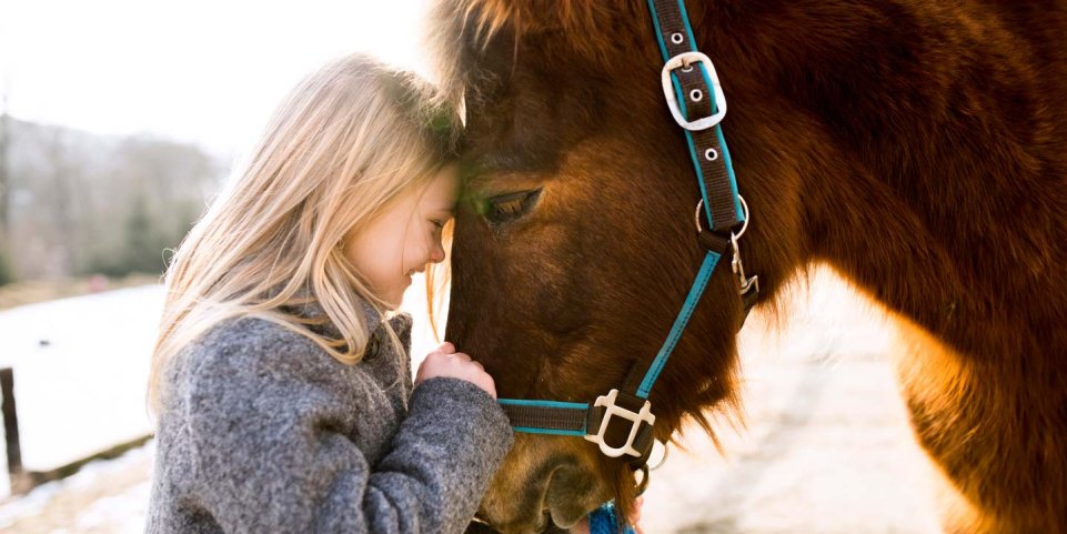 Enfant et cheval