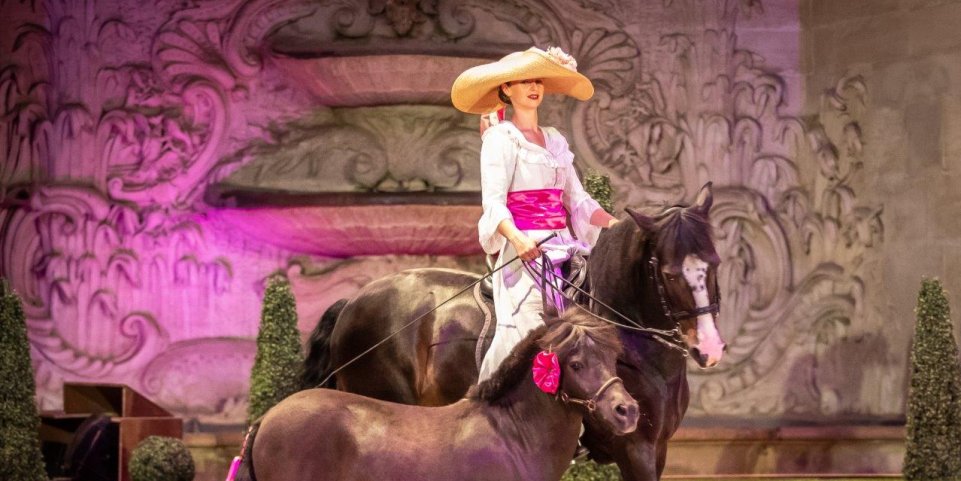 Spectacle Il était une fois dans les grandes écuries de Chantilly
