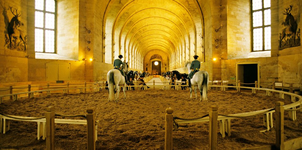 Grandes Ecuries du Château de Chantilly, Musée vivant du cheval