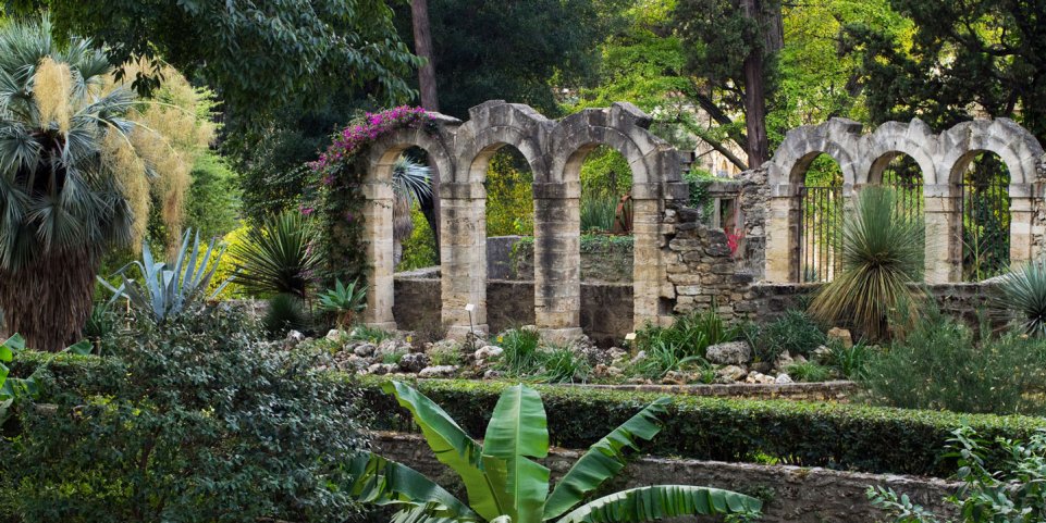 Jardin des plantes de Montpellier 